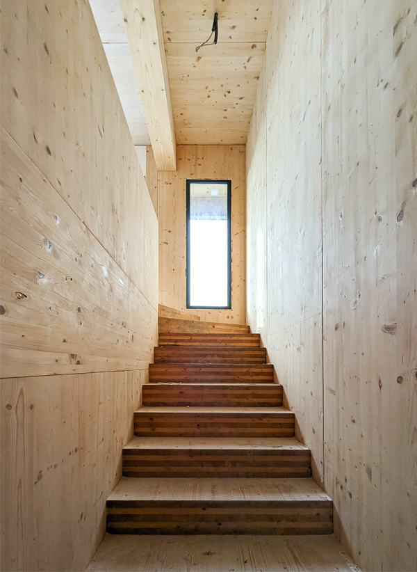 Vizazi timber assembly